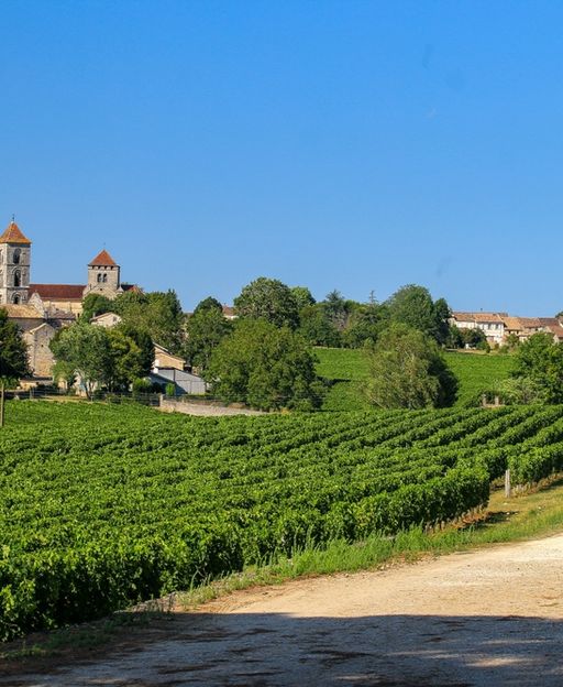 Medieval village with church tower rising above lush green Bordeaux vineyards in summer