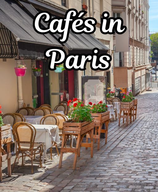 The French Expressions No English Dictionary Can Fully Explain