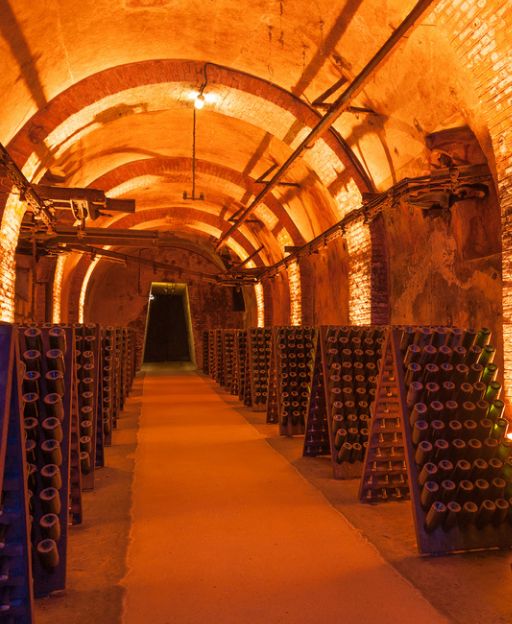 The Underground World That Makes Every Bottle of Champagne Possible