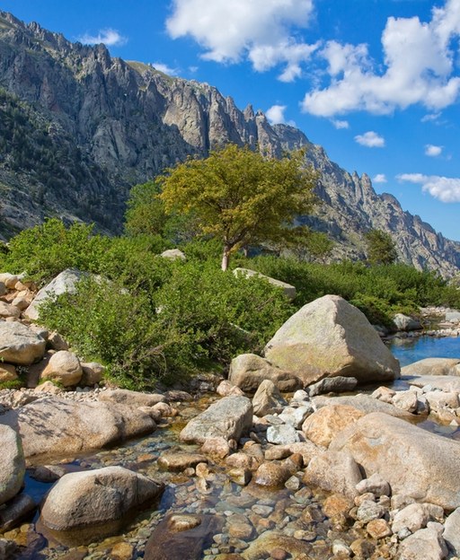 The French Island That Smells Like Herbs Before You Even See It