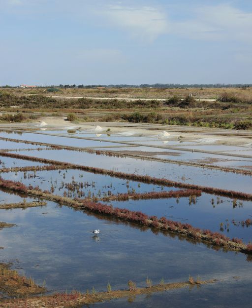 Salt marshes of Ars-en-Ré on Île de Ré, France — flat pools divided by clay banks with salt piles visible