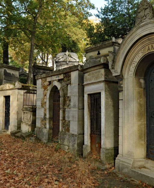 The One Flower the French Never Give to the Living