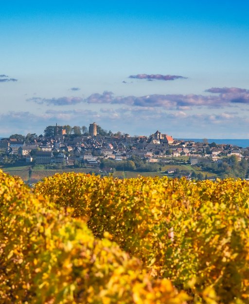 Why Sancerre Is the One Loire Valley Wine Village Worth Seeking Out