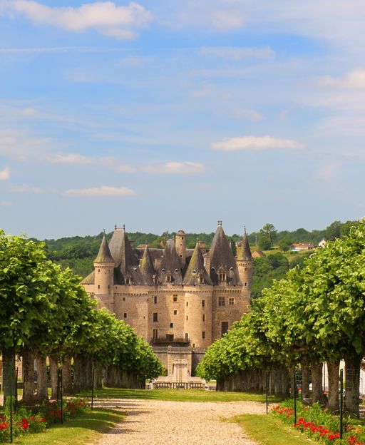 Château de Jumilhac-le-Grand, a medieval castle in the Dordogne region of France, viewed along a tree-lined avenue