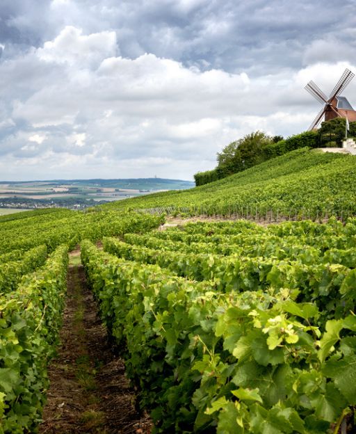 The Champagne Region, France: A Complete Travel Guide