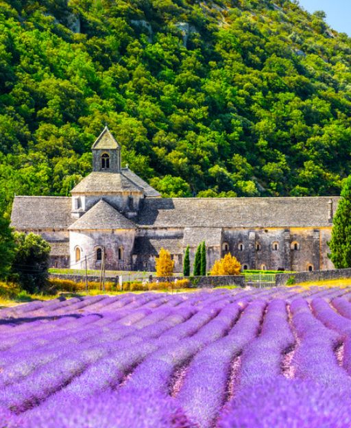The Hidden Villages of Provence: What Most Tourists Drive Past Without Stopping