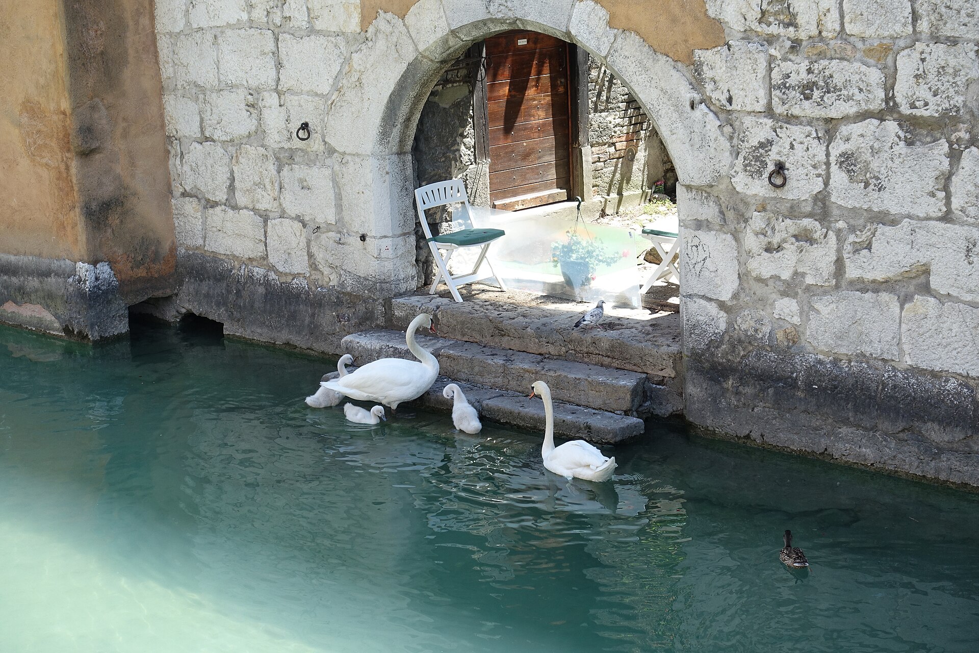 Why Annecy Is the One French Town Most Visitors Are Completely Unprepared For