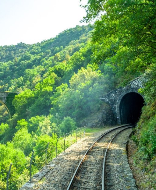 A railway line disappearing into a green tunnel in the French countryside