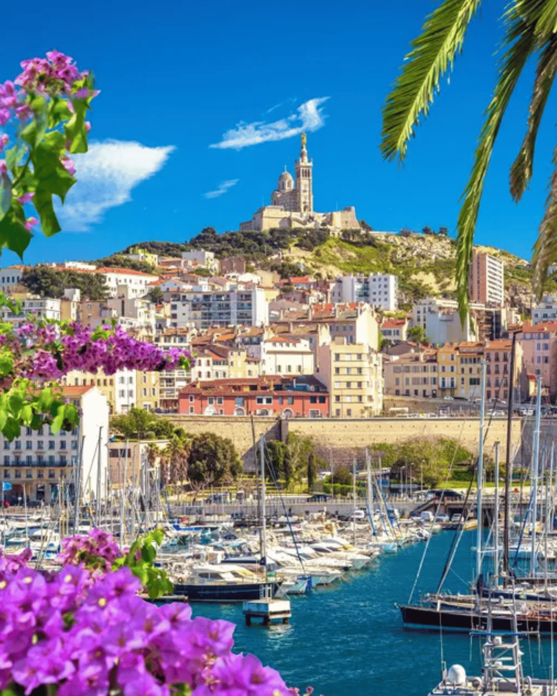 Marseille harbor with sailboats, colorful buildings, and basilica on hilltop