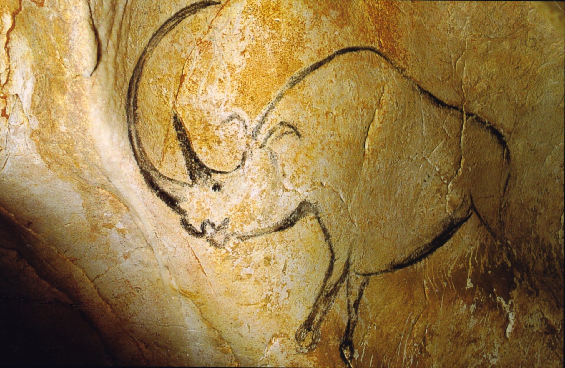 The Ancient Cave in Southern France That Rewrote Human History