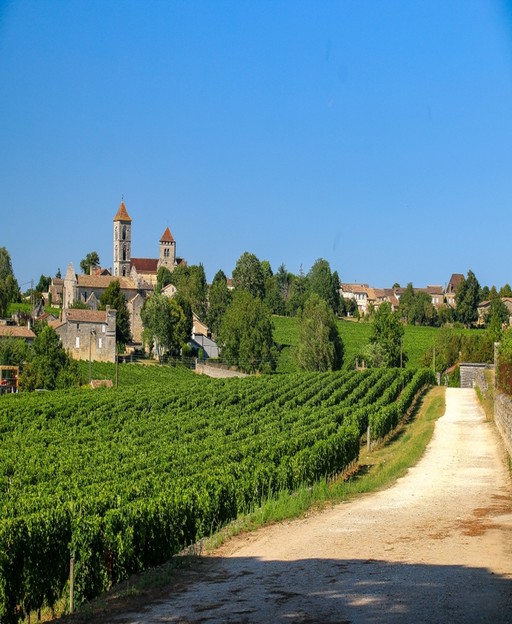 Bordeaux Wine Region Guide: Everything You Need to Know Before You Visit