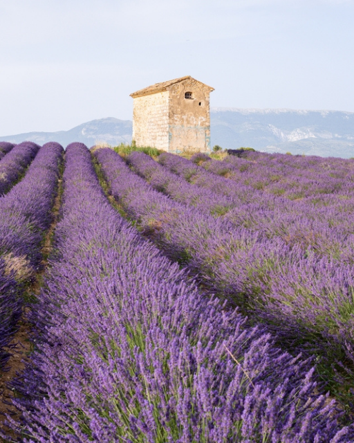 Paris 7th or Languedoc Farmhouse: Which France Is Yours?