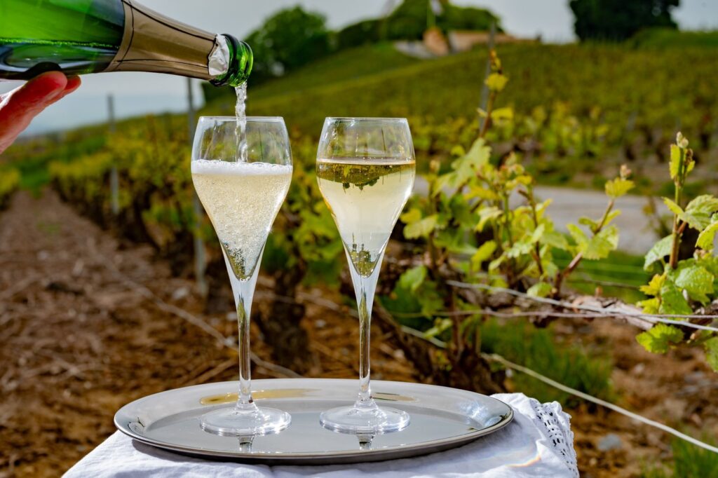 Champagne poured into two glasses in the vineyards of the Montagne de Reims