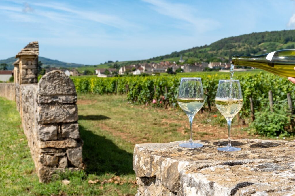 Two glasses of white wine on a stone wall beside vineyards near Puligny-Montrachet