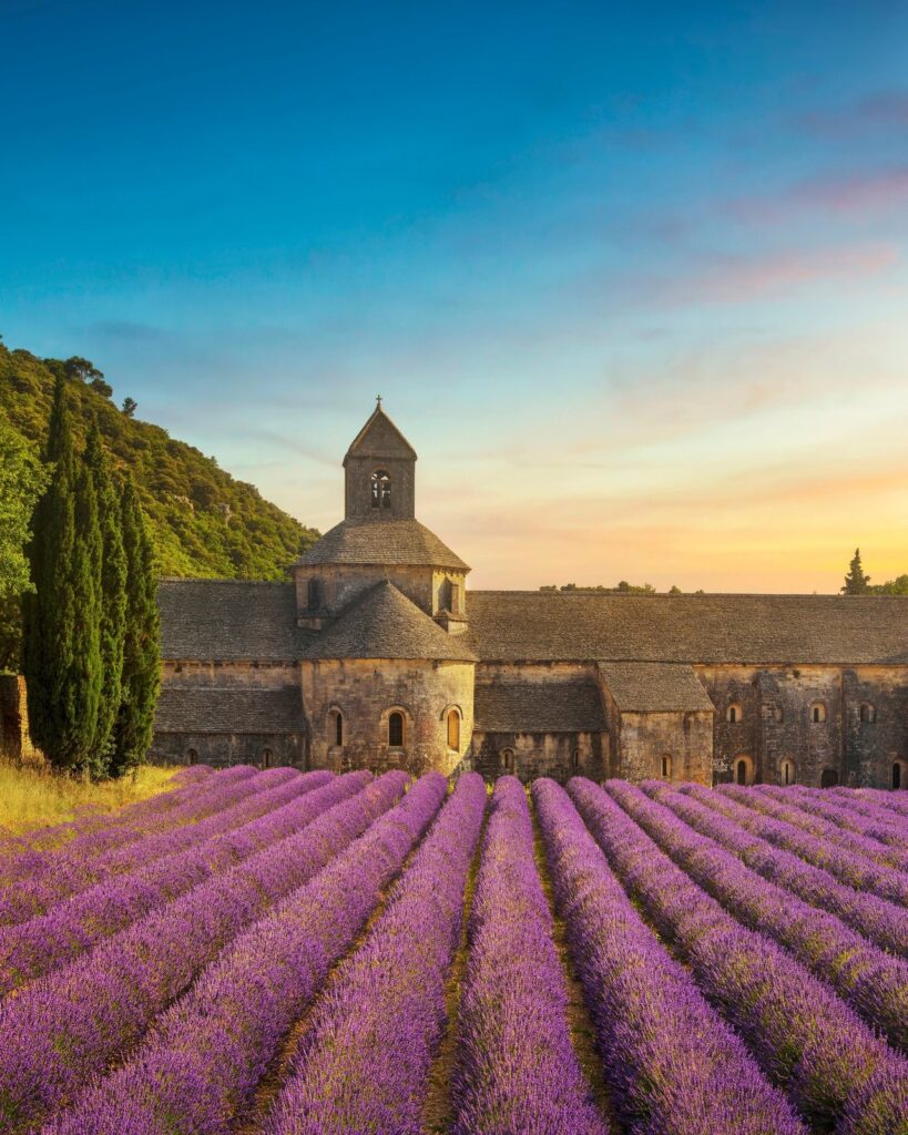 Sénanque Abbey behind rows of lavender near Gordes, Provence
