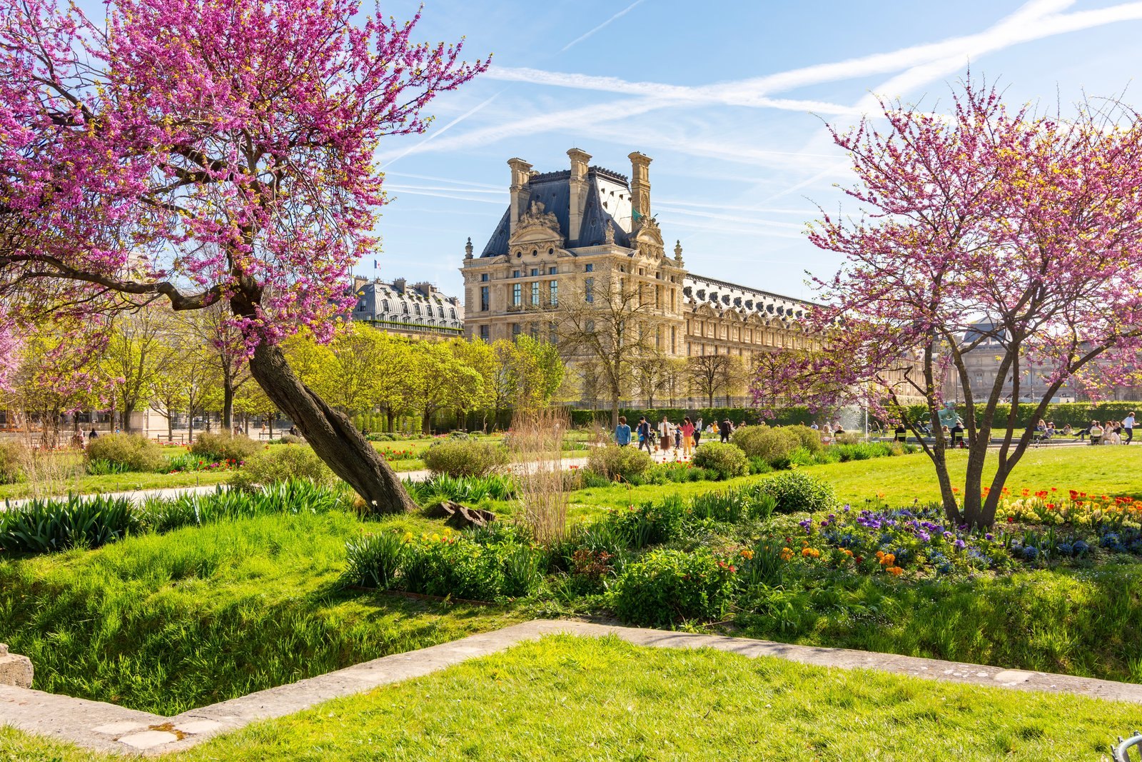 The Louvre palace seen from the Tuileries Garden in spring, Paris