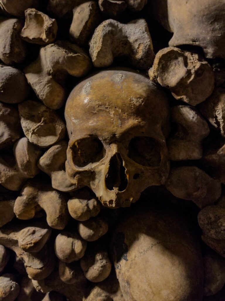 Stacked skulls and bones in the Catacombs of Paris