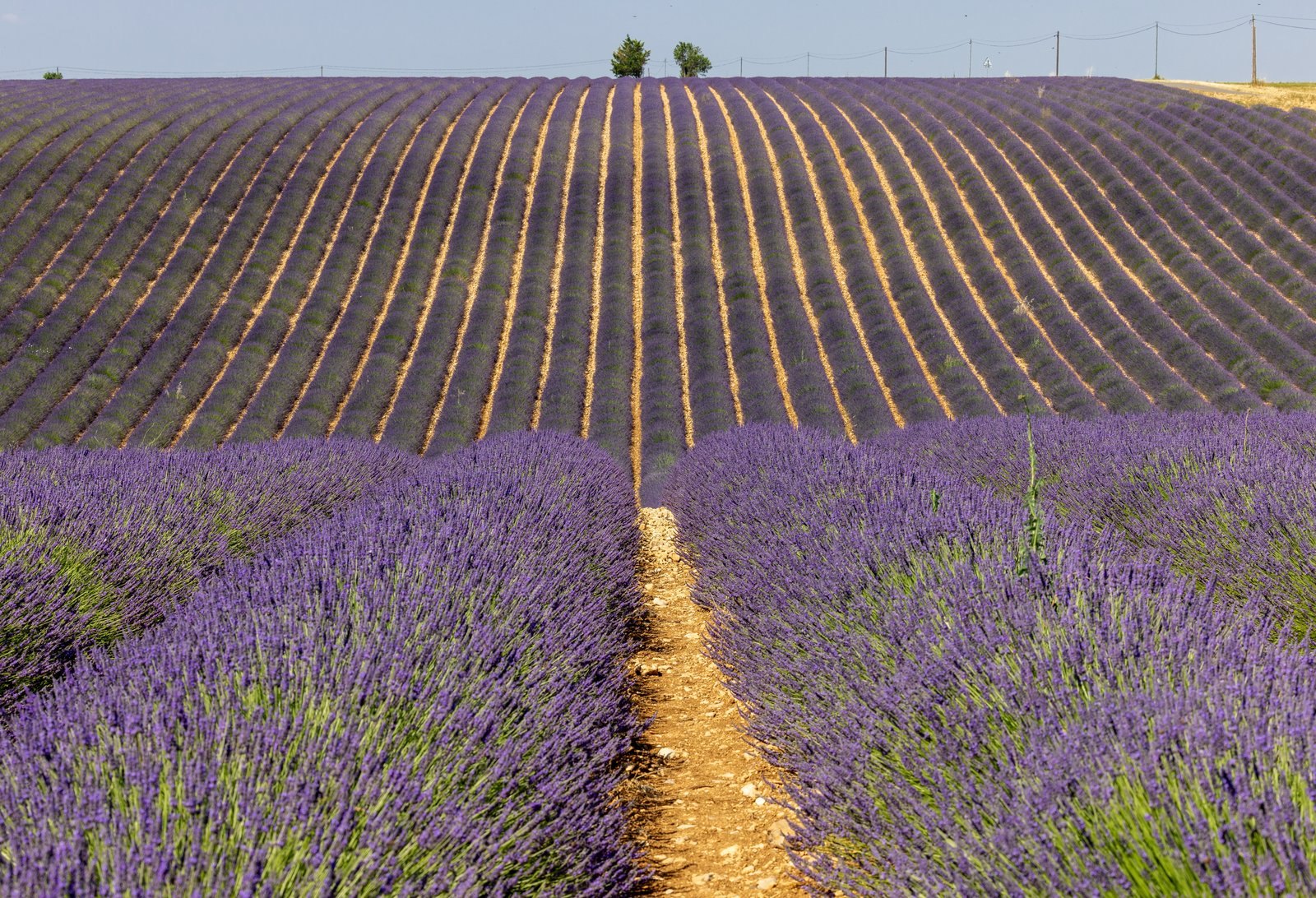 The 6 Best France Travel Newsletters to Subscribe to in 2026