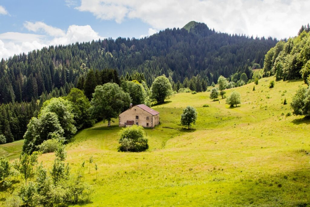 Mountain pasture and forest in the French Jura