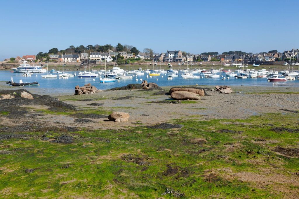 Harbour at low tide, Perros-Guirec, Brittany