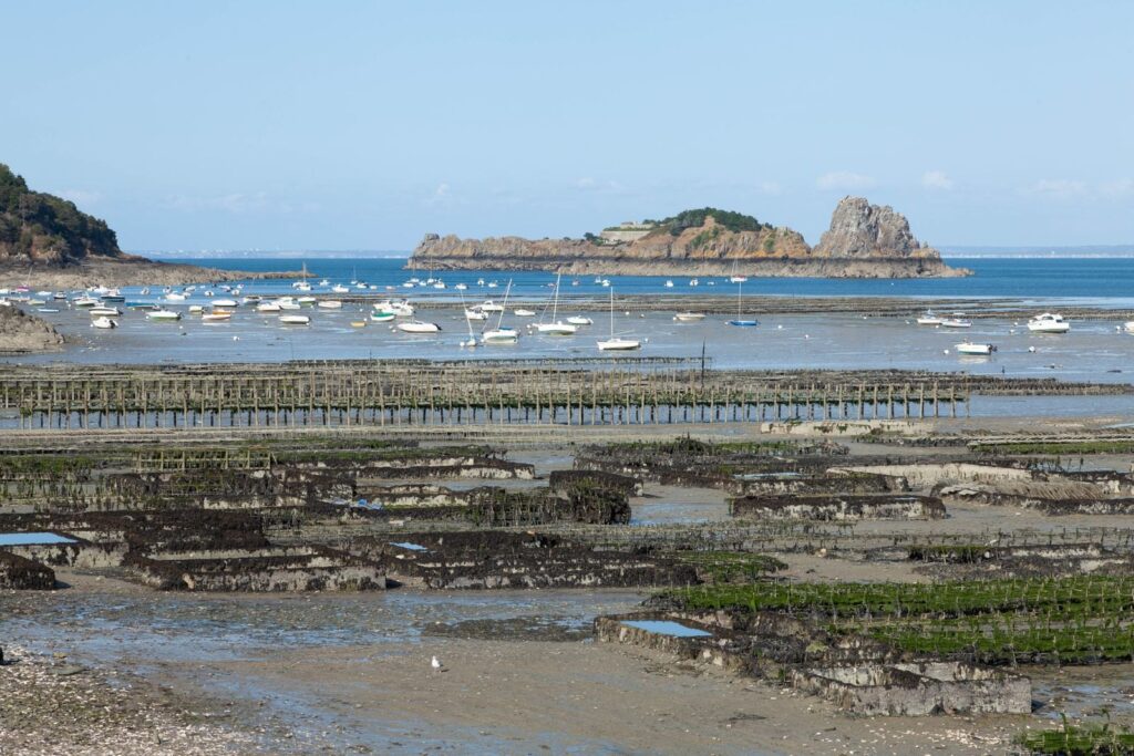 Oyster beds at low tide in the bay at Cancale