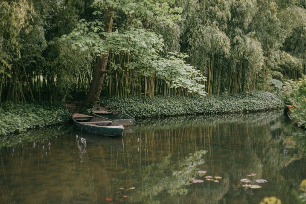 Rowing boats on the water garden pond at Giverny, edged with bamboo and water lilies