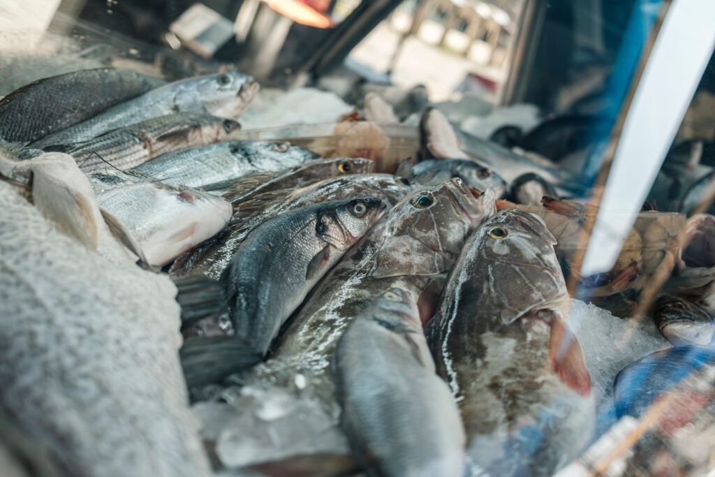 Fresh fish on ice at a seafood market stall