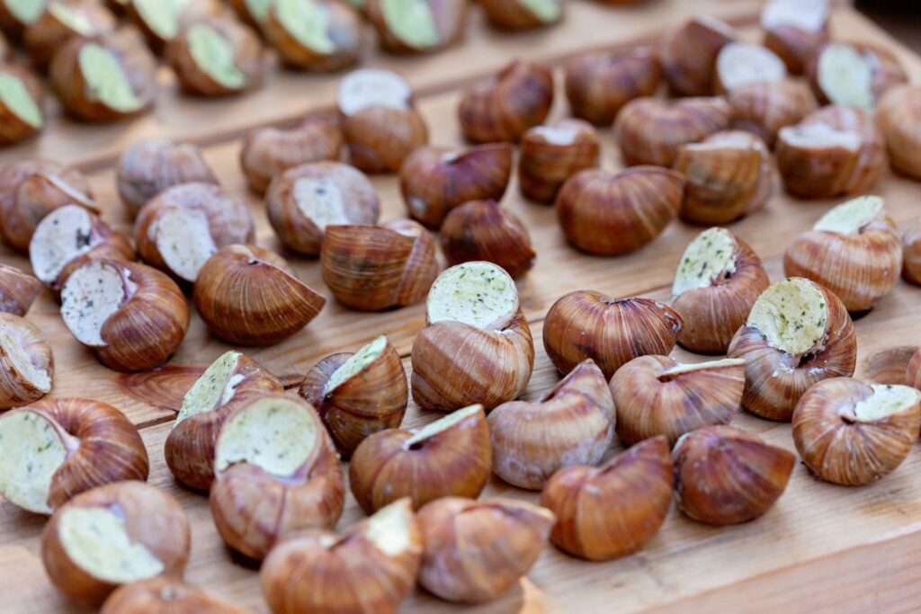 Rows of snail shells stuffed with green herb butter