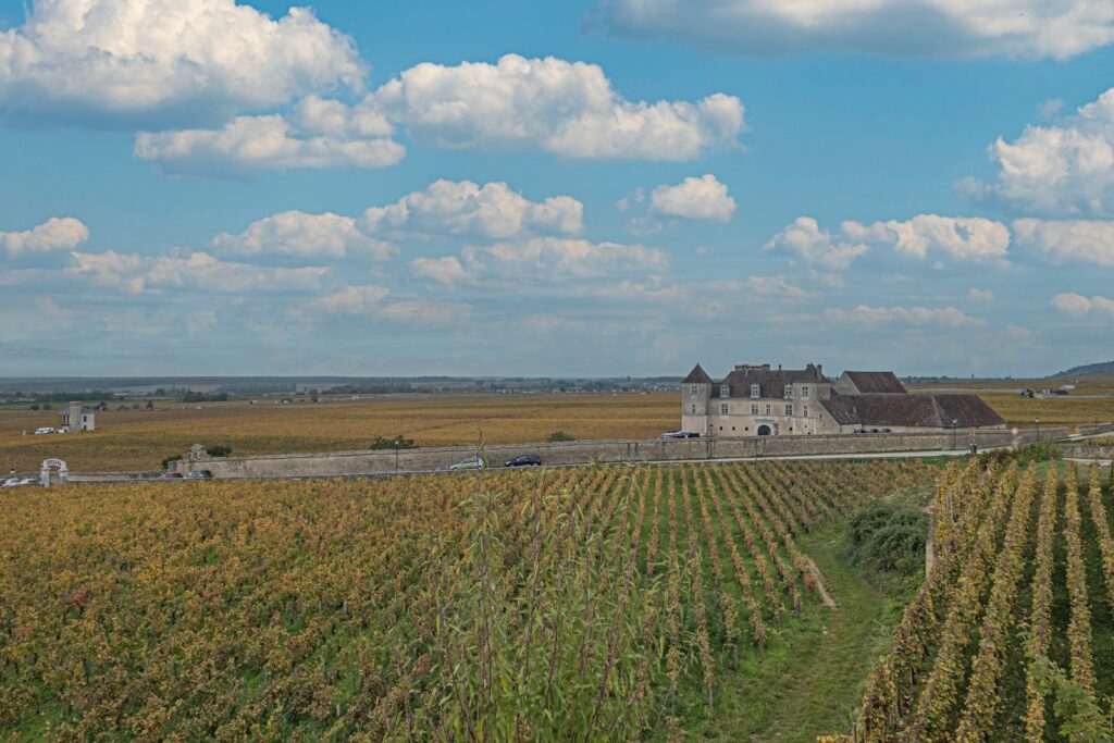 Rows of vines leading to a walled stone château in the vineyards