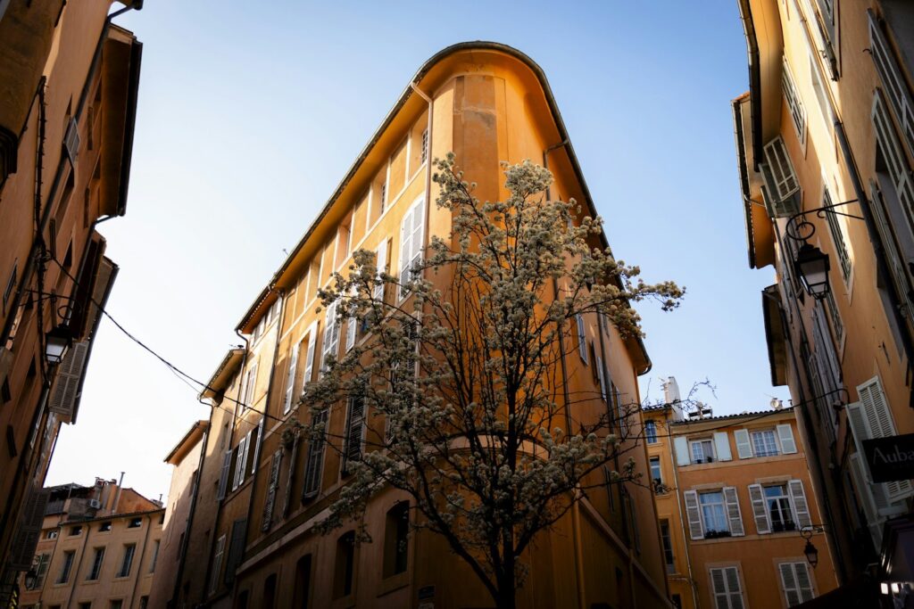 Ochre buildings and a tree on a street in Aix-en-Provence